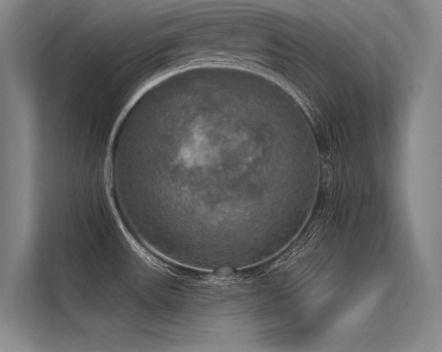 X0000113551531200909181149