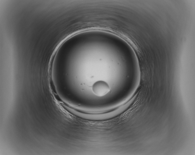 X0000113551532200909181149