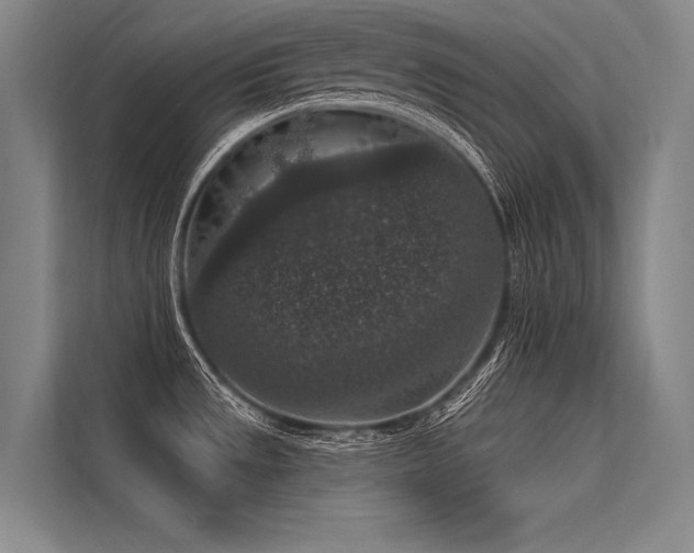 X0000113551533200909181149