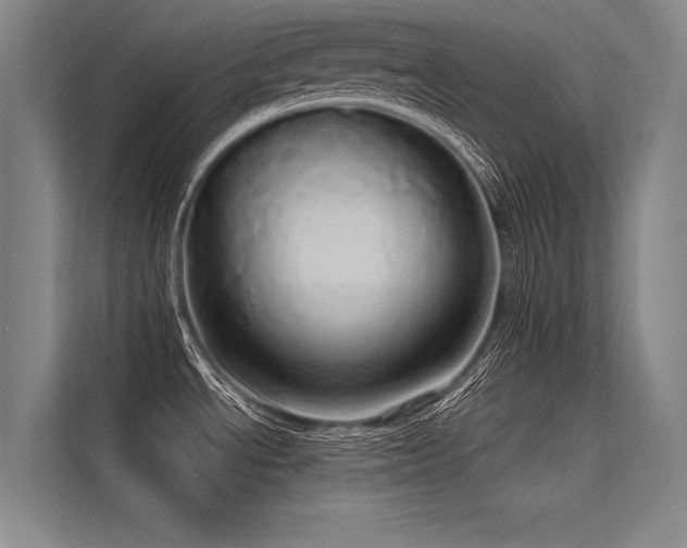 X0000113551534200909181149