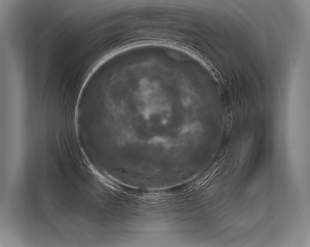 X0000113551535200909181149