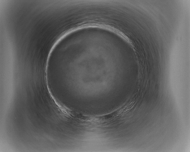 X0000113551536200909181149