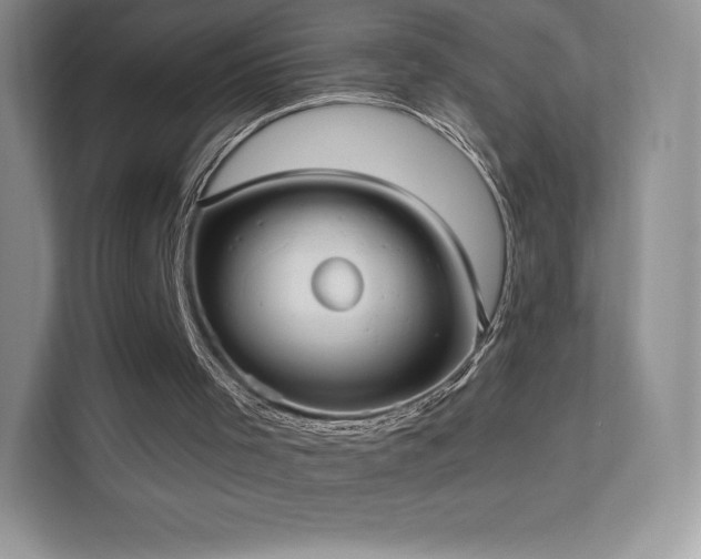 X0000113550001200909251047