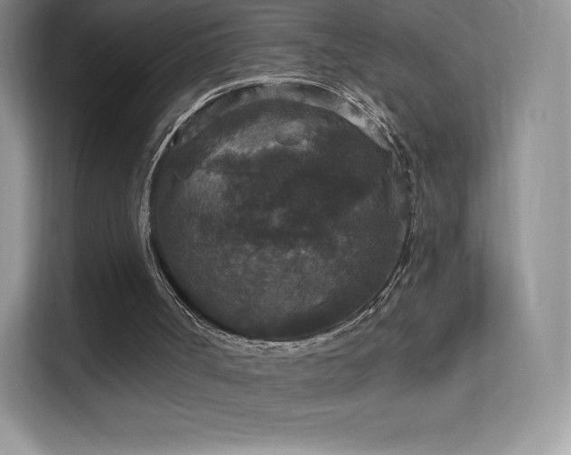 X0000113550002200909251047