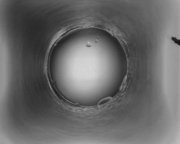 X0000113550003200909251047