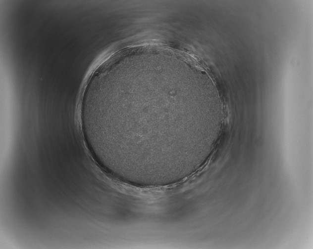 X0000113550004200909251047