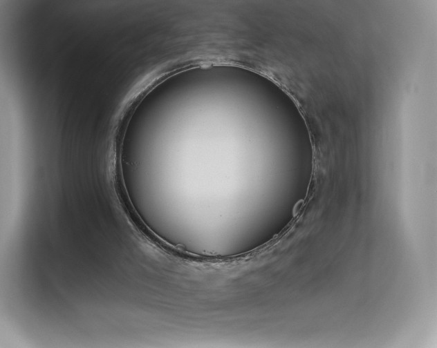 X0000113550005200909251047