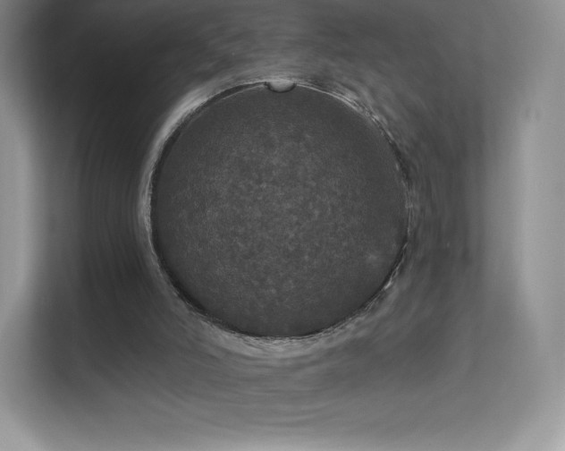 X0000113550006200909251047