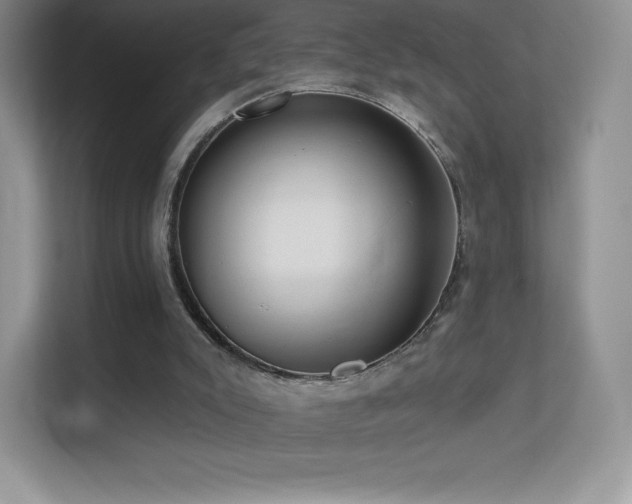 X0000113550007200909251047