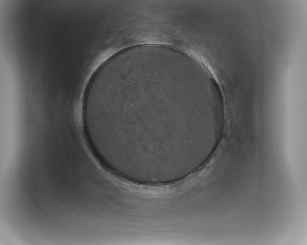 X0000113550008200909251047