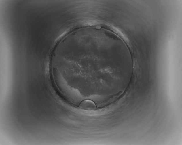 X0000113550010200909251047