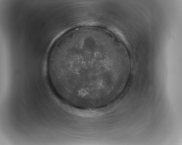 X0000113550012200909251047