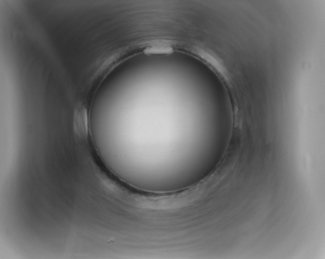 X0000113550013200909251047