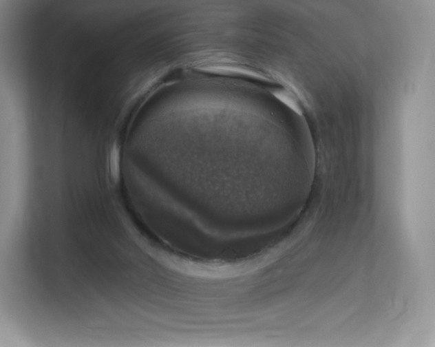 X0000113550014200909251047