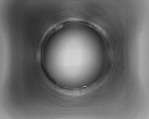 X0000113550015200909251047