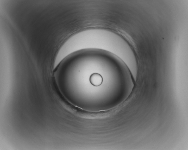 X0000113550017200909251047