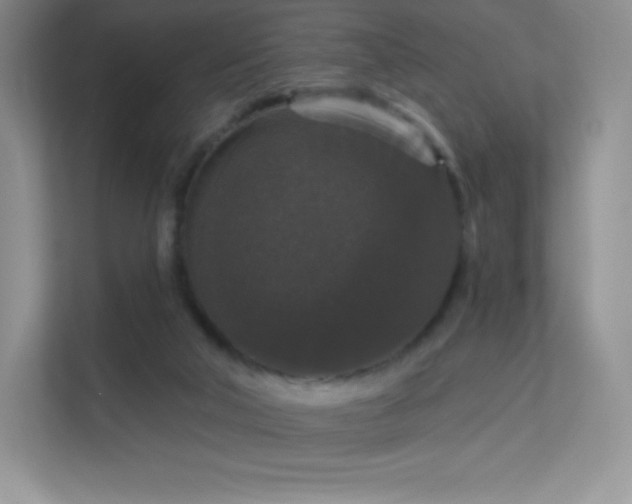 X0000113550018200909251047