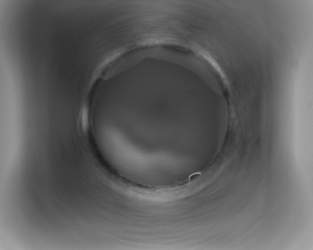 X0000113550019200909251047