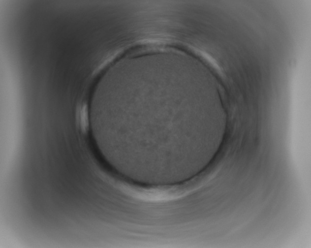 X0000113550020200909251047