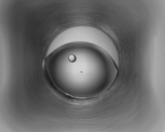 X0000113550021200909251047