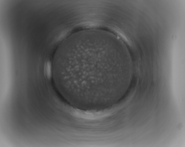 X0000113550022200909251047