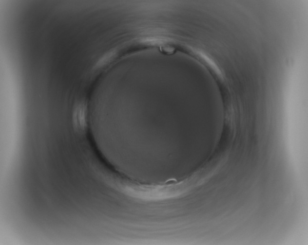 X0000113550023200909251047