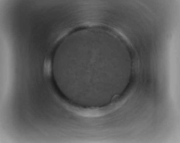 X0000113550024200909251047