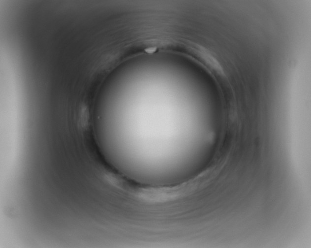 X0000113550025200909251047