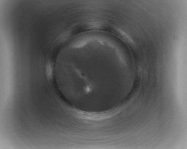 X0000113550026200909251047