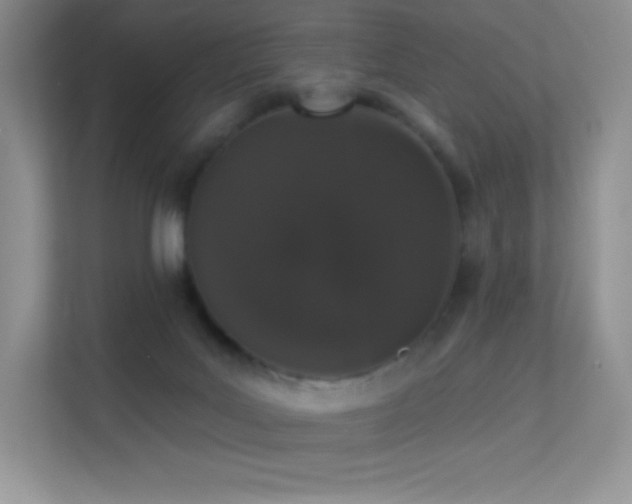 X0000113550027200909251047