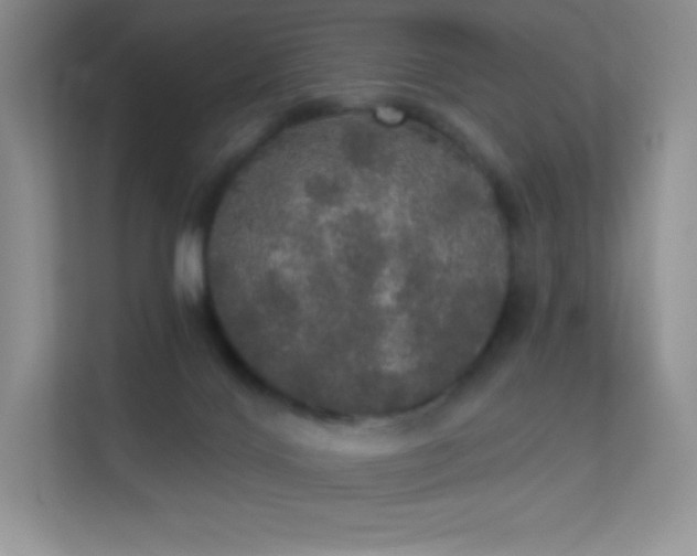 X0000113550028200909251047