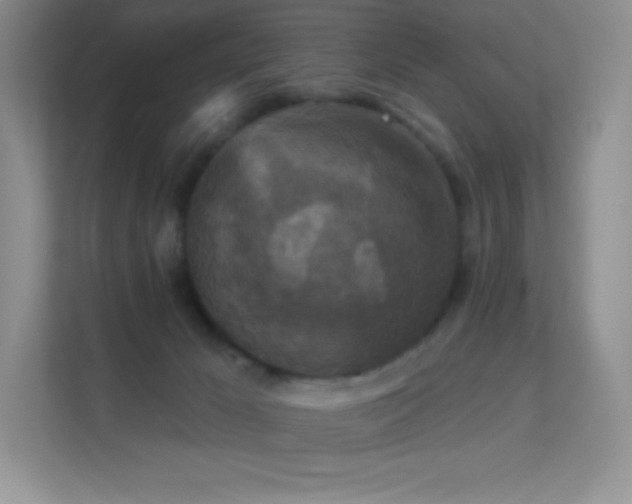 X0000113550029200909251047