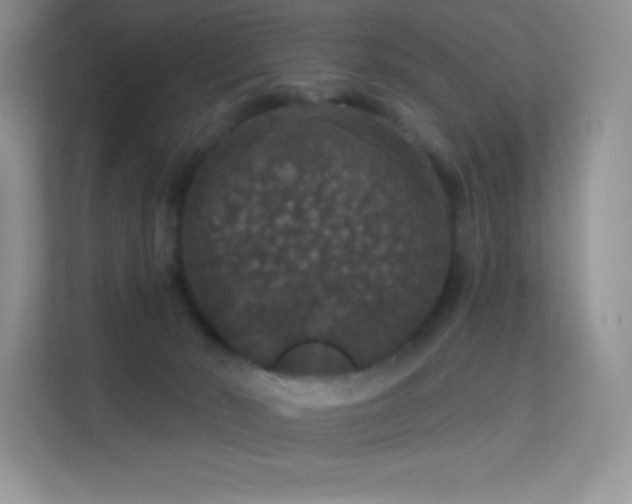 X0000113550030200909251047