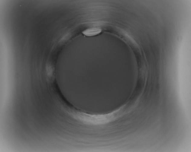 X0000113550031200909251047