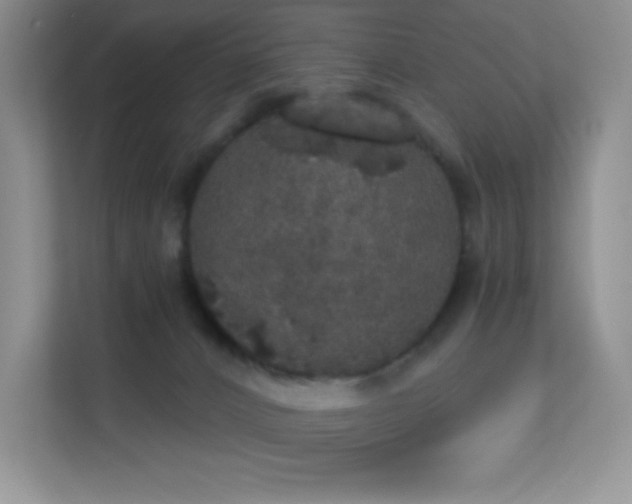 X0000113550032200909251047