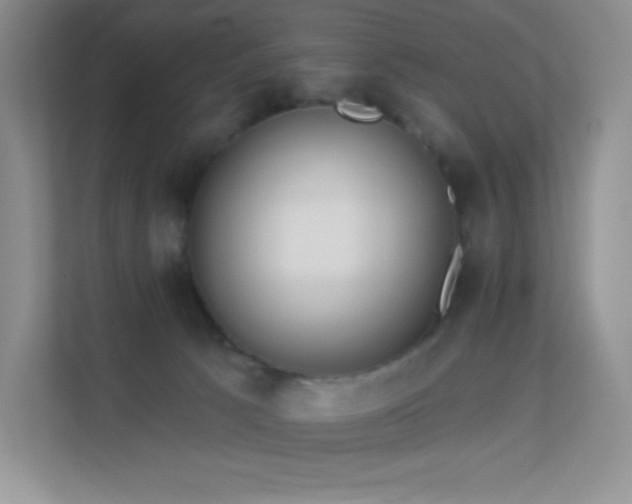 X0000113550033200909251047