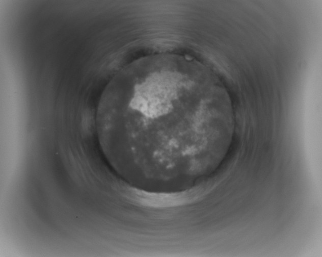 X0000113550034200909251047