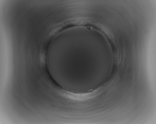 X0000113550035200909251047