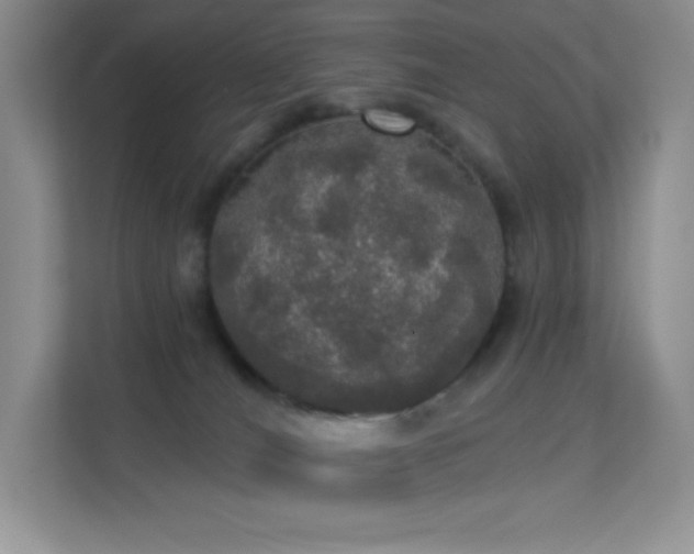 X0000113550036200909251047