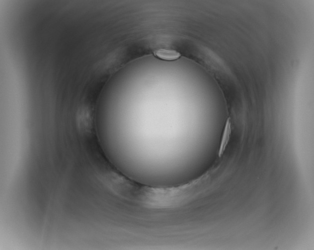 X0000113550037200909251047