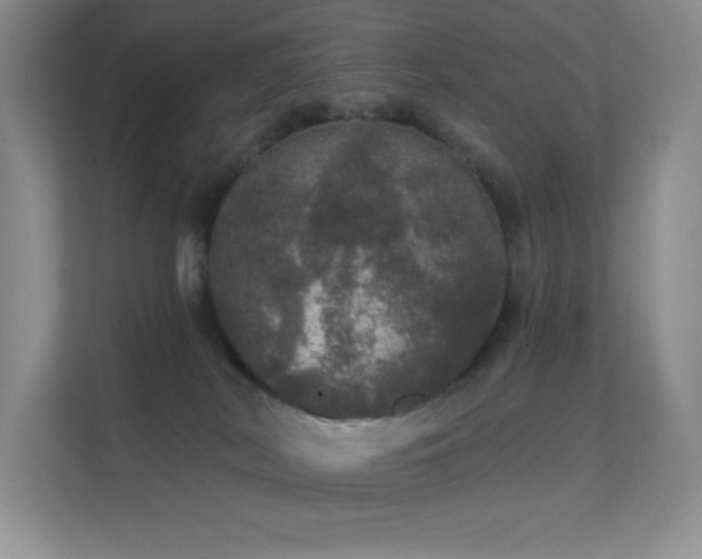 X0000113550038200909251047