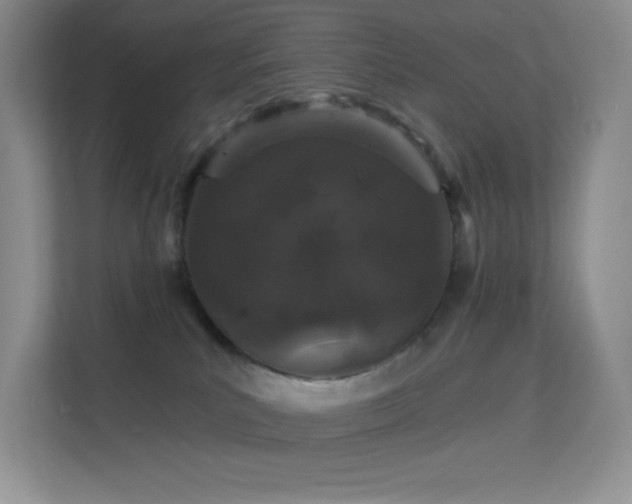 X0000113550039200909251047