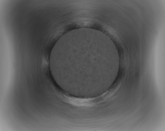 X0000113550040200909251047