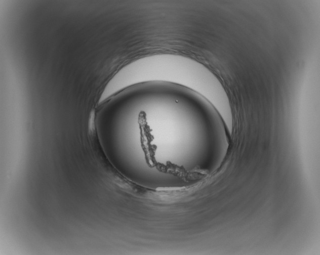 X0000113550041200909251047