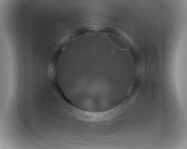 X0000113550043200909251047