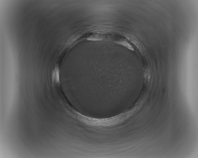 X0000113550046200909251047