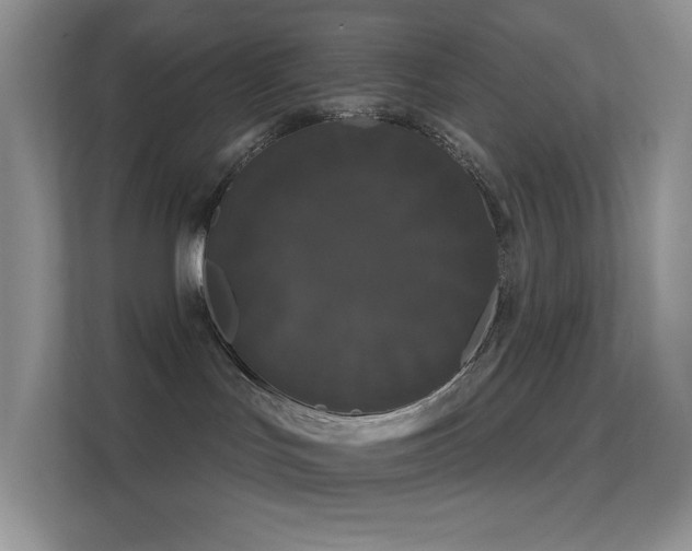 X0000113550047200909251047