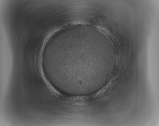 X0000113550049200909251046