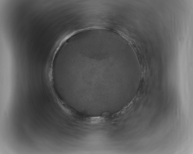 X0000113550050200909251046