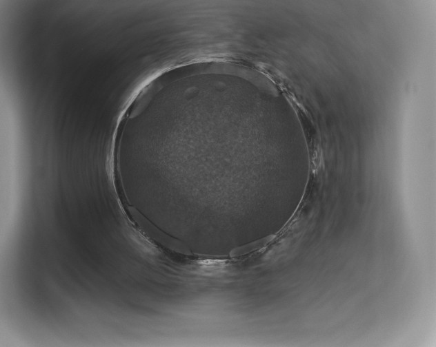 X0000113550052200909251046